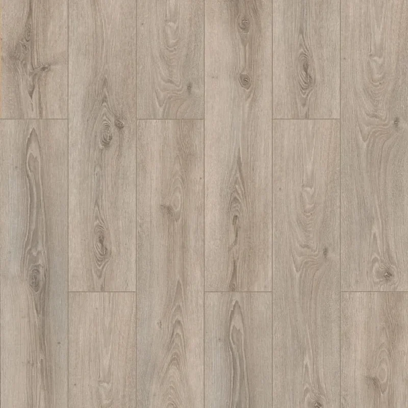 erasmus oak laminate flooring 8mm 2 22y2 1 86m2 ac4 fr014