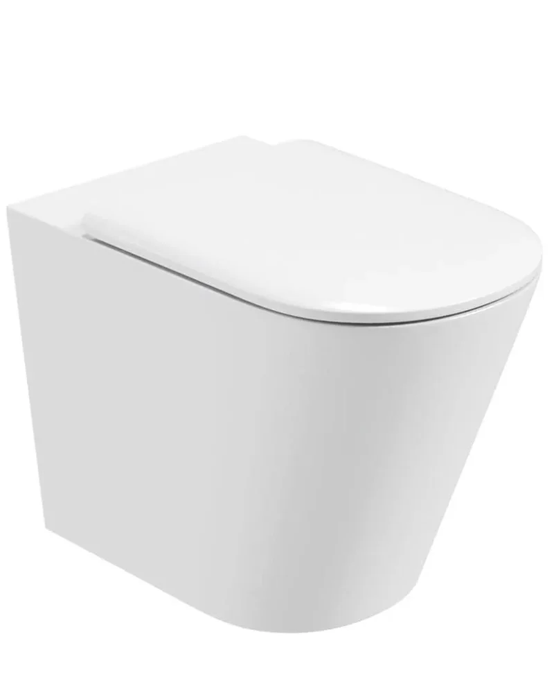 sonas delta rimless back to wall wc with reflections seat refbtw06